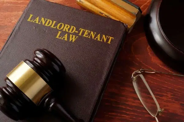 Rental law