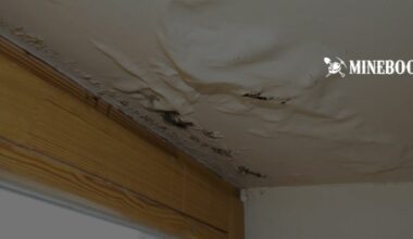 who is responsible for water leak in rented property