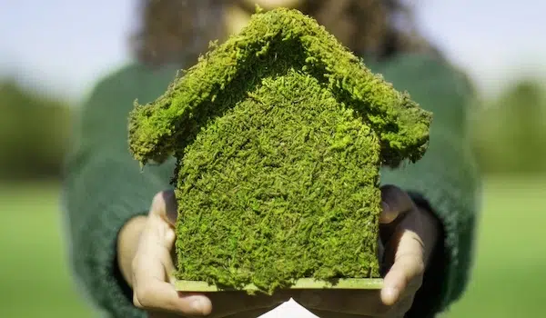 Mastering Real Estate With MineBook: Proven Strategies green and eco-friendly lifestyle