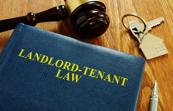 What To Do With Previous Tenants Mail? Local Laws