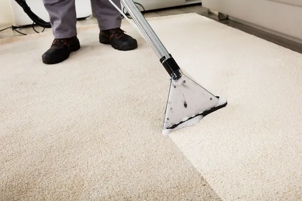 carpets should be cleaned