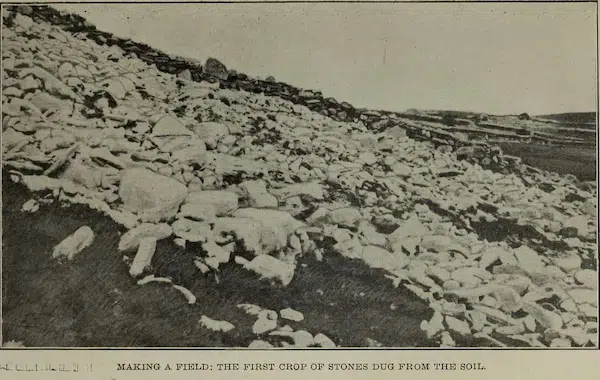 Gathering Evidence
