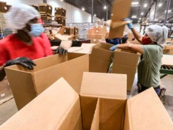 The Step-by-Step Process of Moving Out of an Apartment Hiring Professional Movers