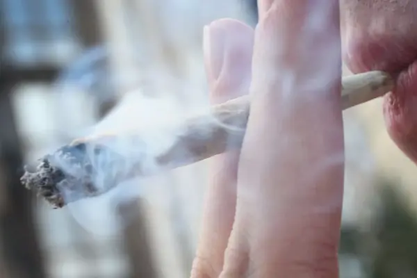 Marijuana Smell
