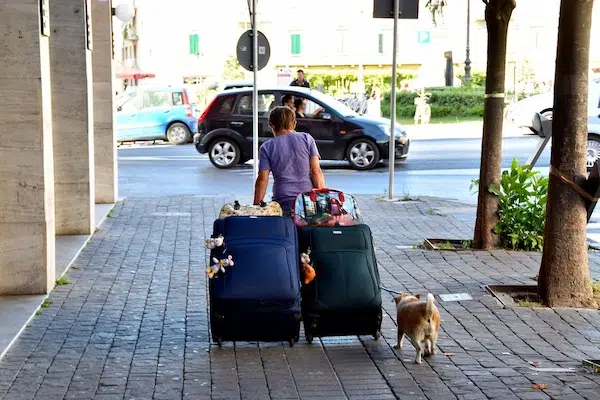 The Step-by-Step Process of Moving Out of an Apartment Preparing for the Move