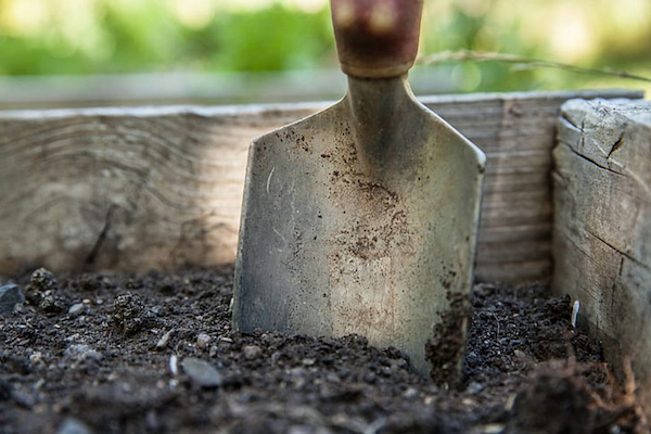 The Role of Soil Testing in Lawn Care