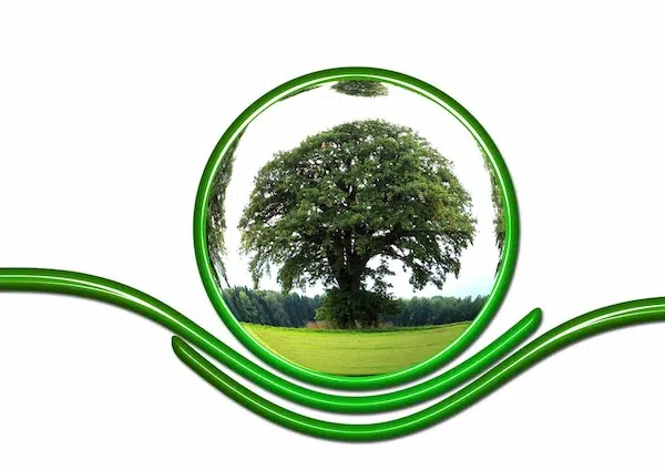 Responsibility of Landscaping: Who is Responsible, the Landlord or Tenant? Understanding Landscaping Responsibilities