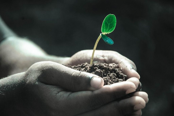 Understanding Soil Composition