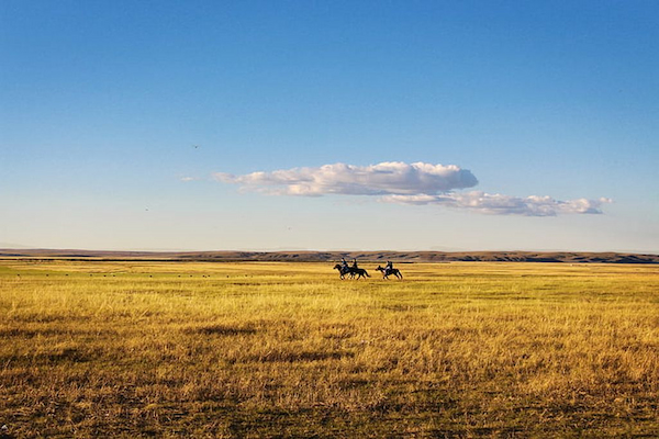 Unveiling Affordable Acres: Where to Find the Cheapest Land in the US Finding Affordable Land