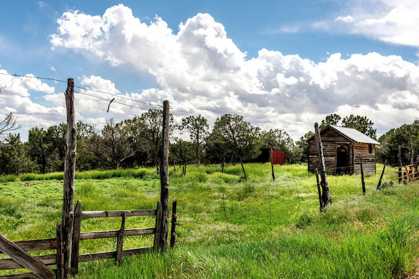 Unveiling Affordable Acres: Where to Find the Cheapest Land in the US The Land Market in the US