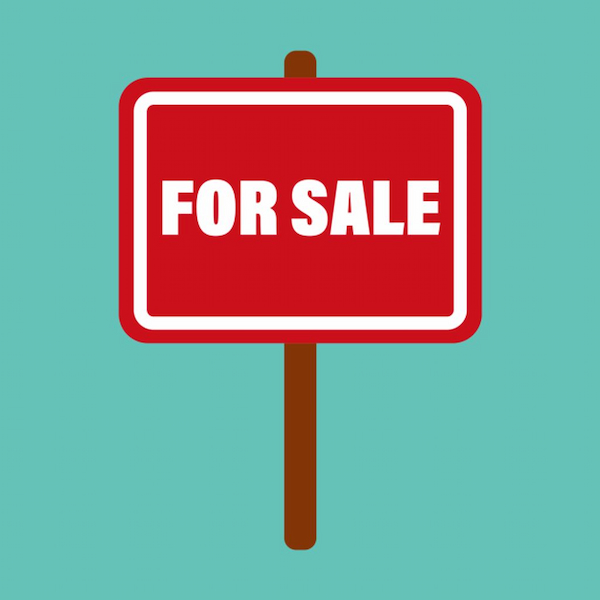 a Real Estate Agent